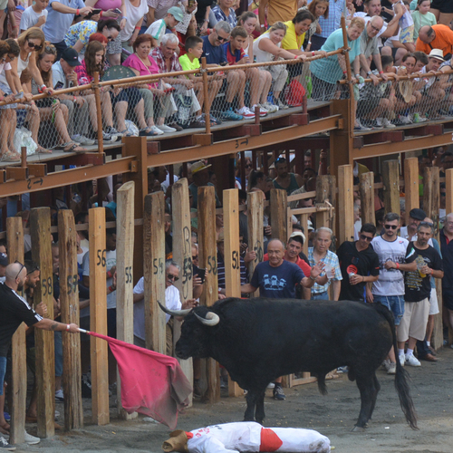 Toros-16-17Nk (11 de 15)